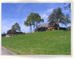 Deisenhof - Schwarzwald-Urlaub auf dem Bauernhof